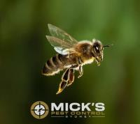Mick's Bee And Wasp Removal Sydney image 7